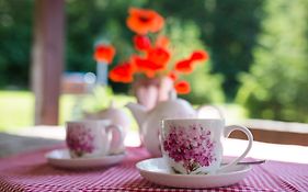 Gościniec Malinówka